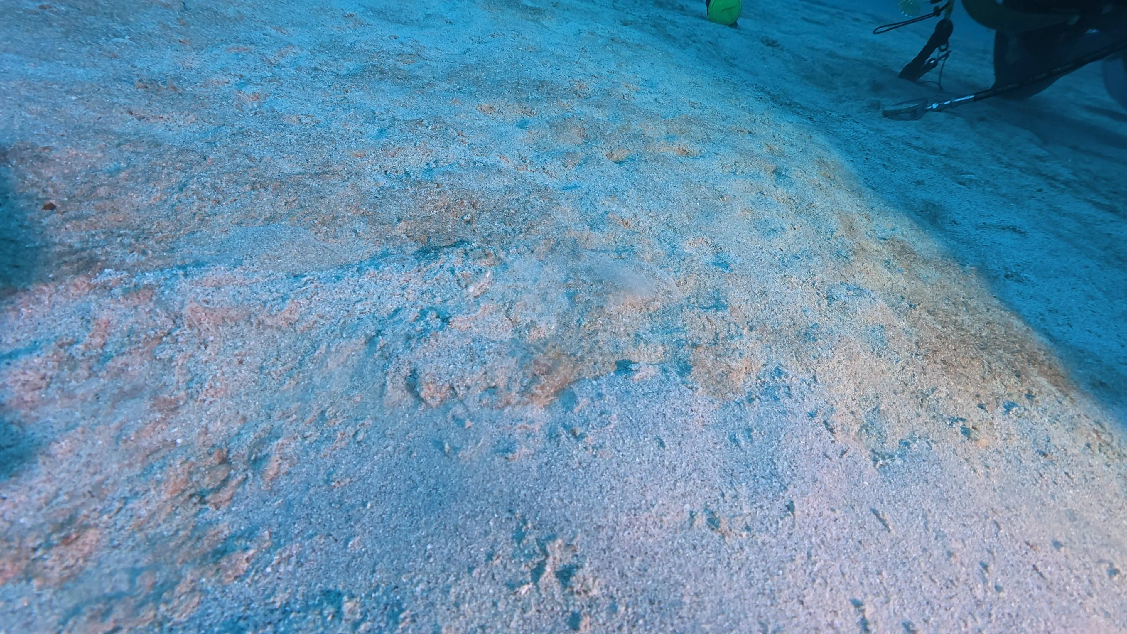 砂に潜ったカニ。どこにいるかわかりますか? 潜ったカニ